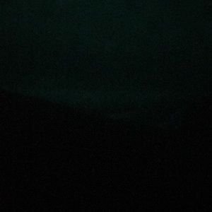 Meet your Posher, Leo